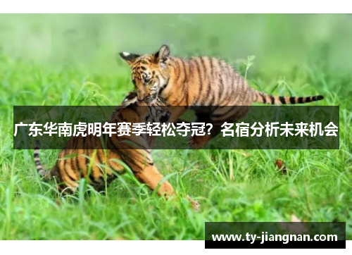 广东华南虎明年赛季轻松夺冠？名宿分析未来机会